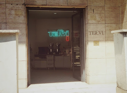 Tervi S.r.l.